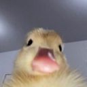 minstrrels
