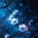 -Flower_Garden273-