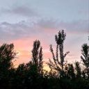 Sofia_8_11