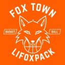LiFoxBook