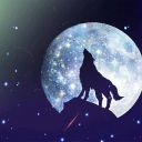 Wolf_VV