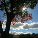 Justyeen