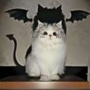 fan_love_fizarolli