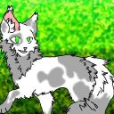 Blu_Cat888