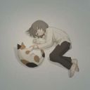 animashnitsa