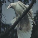 ssssia_4