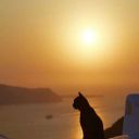 user752051589175
