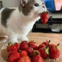 Masha_Lord