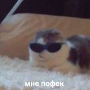 Gora_problem