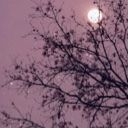 Moon53685