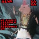 Demon_SlayerDauma