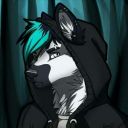 HTRUDE