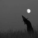 VnightWitch