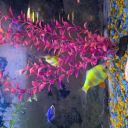 Irinaaaa18