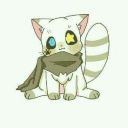 user24277053