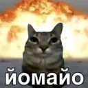 Noxair