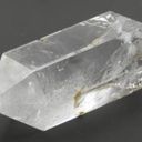 Bunchofsense3