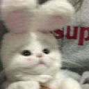 HelloKiti475