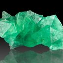 Green_leaf251