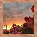 _kates_stories_