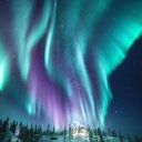 immortal_winter