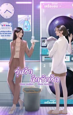 Безумная любовь в прачечной