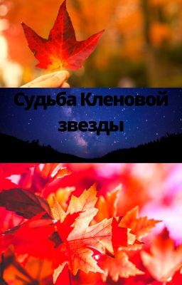 Персонажи книги Судьба Кленовой Звезды.