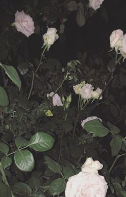 ᴍʏ sᴛᴜᴘɪᴅ ғᴇᴇʟɪɴɢs