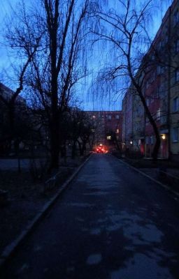 Стихи
