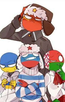 ~Я попала в COUNTRYHUMANS ~