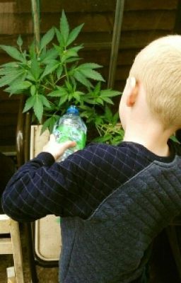 Мальчик в полосатой пежаме