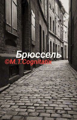 Брюссель