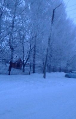 История моей школьной жизни
