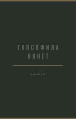 гипсофила вянет