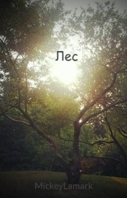 Лес