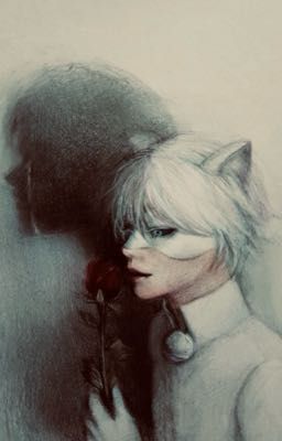 Кошмар//Леди Баг и Супер кот//Кот блан//Белый кот