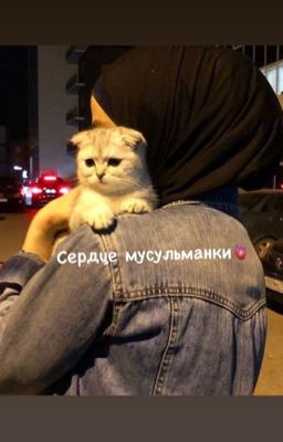 Сердце мусульманки🫀