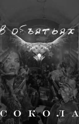 В объятьях сокола