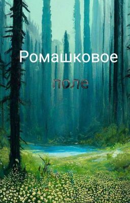 Ромашковое поле