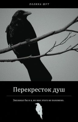 Перекресток душ