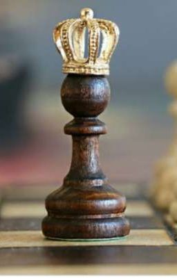 Шахматная история♟️