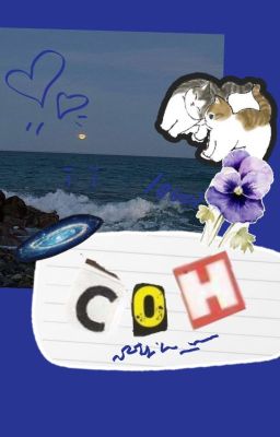 Сон