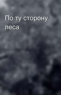 По ту сторону леса