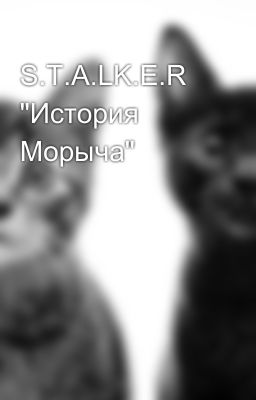 S.T.A.LK.E.R "История Морыча"