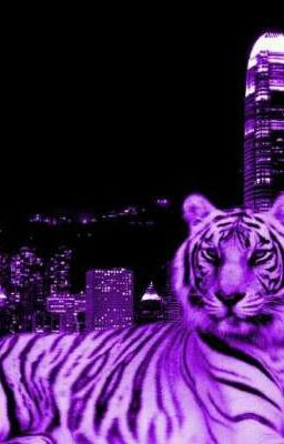  В логове тигра
