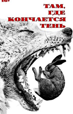 Там, где кончается тень