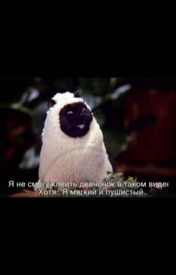 Без мужиков ❌❌❌