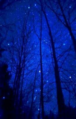 Solace in You 