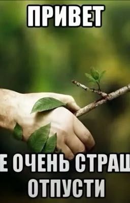 Фф про Дамира и Кирилла 