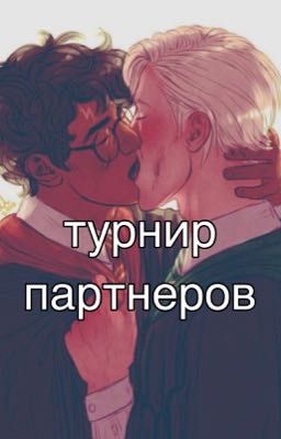 Турнир партнёров 